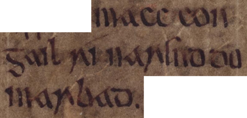 Annals of Inisfallen